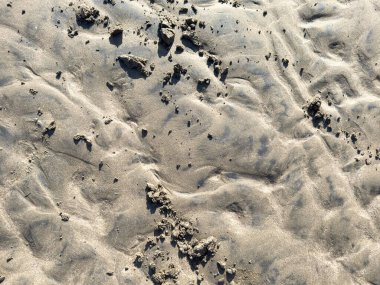 Küçük parçalı ıslak kum dalgalanma şekliyle çöktü.