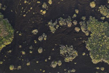 Yeşil bitkilerle kaplı küçük siyah lav kayalıkları hava aracı görüşlü.