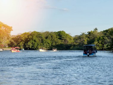 Yeşil ağaç arkaplanı etrafında göl kanalında birçok tekne