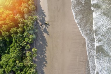 Temiz kum tropikal plajı, üzerinde palmiye ağacı olan drone manzaralı.