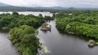 Ağaç ve veranda çimleri olan küçük göl adası. Hava aracı manzaralı.