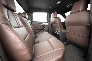 Kahverengi deri yolcu izole camlı kamyonetin içinde oturuyor.