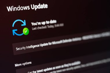 New York, ABD - 19 Temmuz 2024: Microsoft pencereleri 11 güncelleme resmi web sitesi yakın görüntüsü