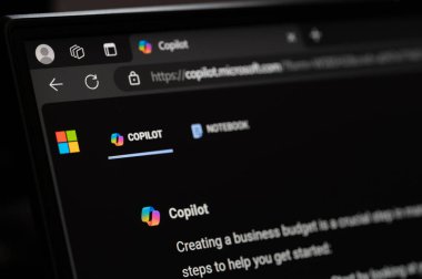 New York, ABD - 19 Temmuz 2024: Microsoft yardımcı pilot yapay zeka uygulaması resmi web sitesi ekranında