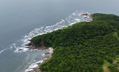 Yeşil kayalık kıyı şeridi insansız hava aracı görüntüsü 