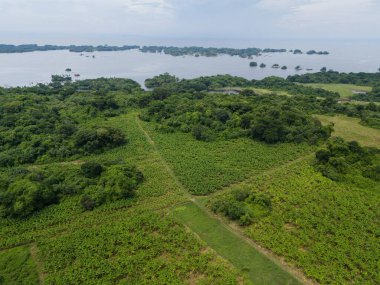 Green agricultural field with water supply aerial drone view clipart