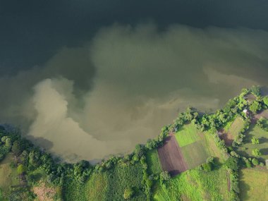 Su yüzeyli yeşil kıyı manzarası