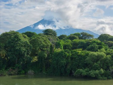 Kıyı şeridindeki vahşi orman. Arka planda yanardağ var.