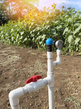 Tarımın arka planına su, sulama boruları serpiyor