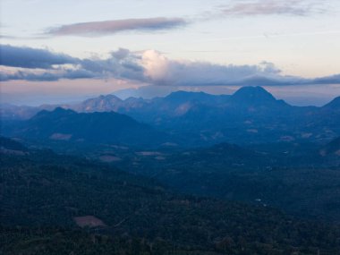 Dağın arka planındaki tropikal orman gün batımı ışığında vadi