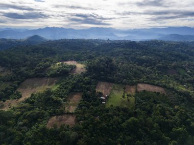 Tarlaları olan tropikal bir manzara. Sabah ışığında hava aracı manzaralı.