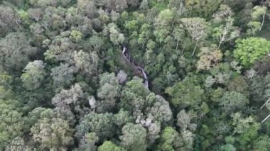 Tropikal orman manzarasında şelale, insansız hava aracı görüntüsü