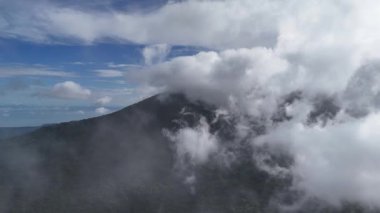 Yoğun ağaçların sisli manzarası, bulutlar sabah saatlerinde yemyeşil manzaranın üzerinde süzülüyor..