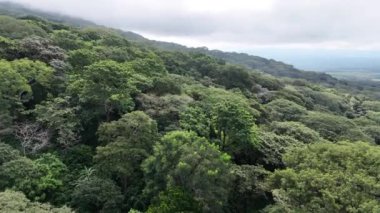 Ağaçların kalın tabakası manzarayı kaplıyor, bulutlu gökyüzünün altında ince tepeler görülebiliyor..