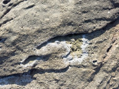 Tuz arkaplanı hasarlı volkanik kaya