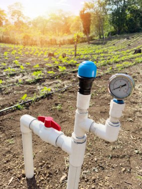 Su pompası sulama tarım teması. Ayçiçeği tarlası