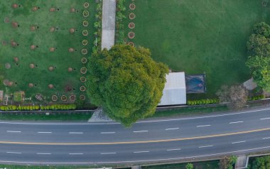 Yeşil park hava aracı görüntüsünün yanındaki kavisli asfalt karayolu.