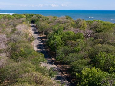 Dolambaçlı yol, berrak mavi gökyüzünün altındaki sakin kıyı şeridine doğru uzanır..