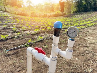 Su boruları tarım sulama teması. Güneşli bir günde tarım arazisi
