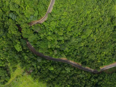Yeşil orman arka planındaki kıvrımlı yol hava aracı görüntüsü