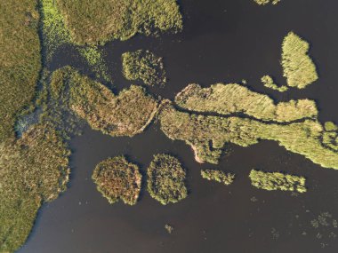 Hava manzarası, geniş sulak alanları çimen ve sakin suyla yakalar. Gün ortası güneş ışığını yansıtır..