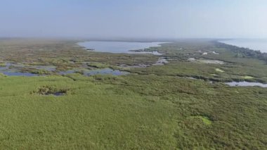 Bataklık suyu, hava aracı manzaralı yeşil bir arazi.