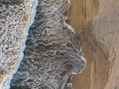 İnsanlar okyanus sahillerinde oynuyor.