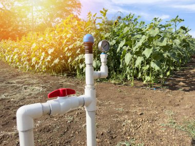 Güneşli arka planda tarım tarlaları için sulama sistemi