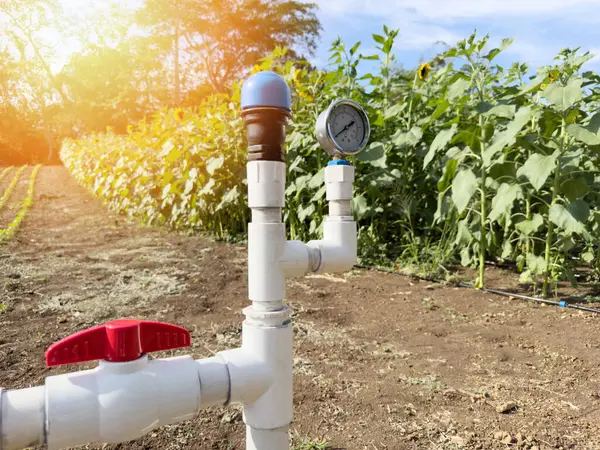 Ayçiçeği bitki arka planında tarım alanı için su kaynağı