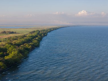 Gün batımında ağaçlarla kaplı göl kıyısı. Hava aracı görüntüsü.
