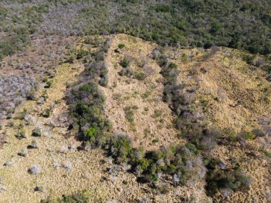 Tepe hava aracı manzaralı kuru çayır manzarası