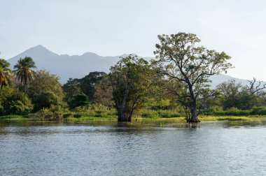 Mombacho yanardağının arka planındaki gölde yeşil ağaçlar.