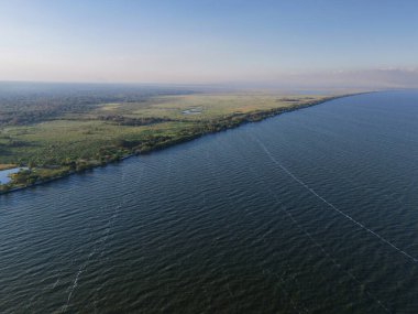 Yeşil bataklık arka plan hava aracı manzaralı göl kıyısı