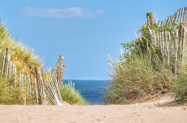 Вид Пляж Доулі Воррен Девон Велика Британія Стокове Зображення