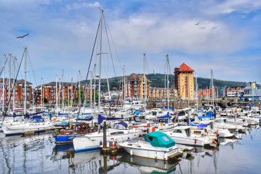 Southampton marinasının manzarası. 
