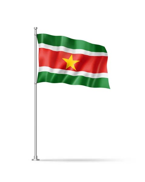 Bandiera Suriname Illustrazione Isolata Bianco — Foto Stock