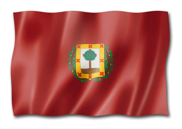 Vizcaya Provincie Vlag Spanje Zwaaiend Banner Collectie Illustratie — Stockfoto