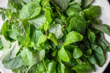 Bunch of fresh mint closeup view. Food background