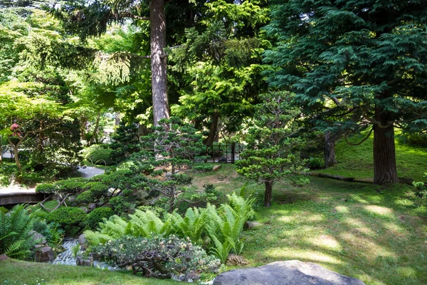 Beautiful Traditional Japanese Garden Summer Zen Background — Zdjęcie stockowe