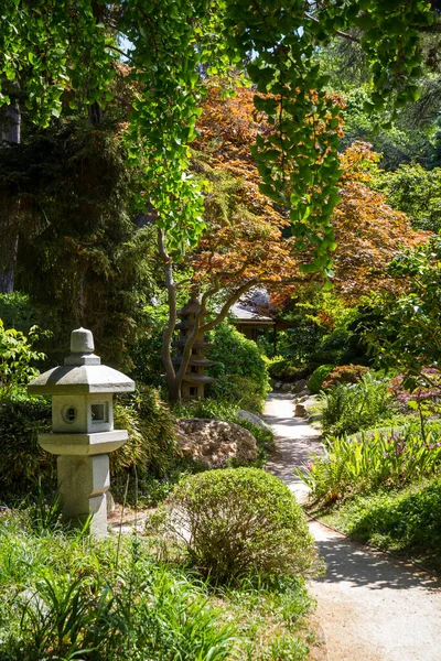 Traditional Lamp Japanese Garden Zen Background — Stockfoto