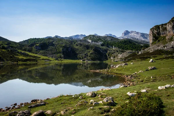 stock image Lake Ercina in Covadonga, Picos de Europa, Asturias, Spain