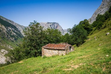 Bulnes köyü, Picos de Europa, Asturias, İspanya çevresindeki dağ manzarası ve koyun ağılları