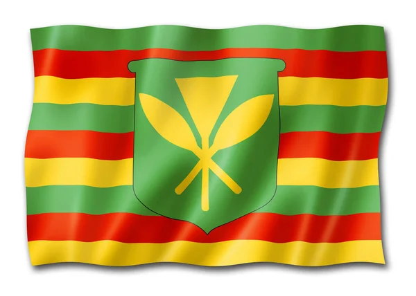 Kanaka Maoli Ethnische Flagge Hawaii Illustration — Stockfoto