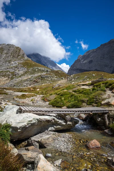 Hegyi Folyó Híd Vanoise Nemzeti Park Alpesi Völgy Savoie Francia — Stock Fotó
