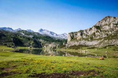 Covadonga 'daki Ercina Gölü, Picos de Europa, Asturias, İspanya