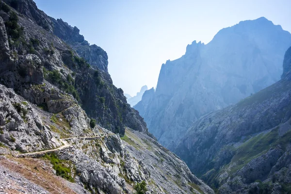Sentier Cares Ruta Del Cares Dans Canyon Picos Europa Asturies — Photo