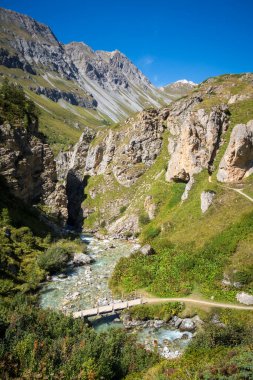Vanoise Ulusal Parkı Alp Vadisi, Savoie, Fransız Alpleri 'ndeki dağ nehri ve ahşap köprü.