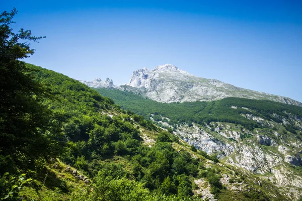 Bergslandskap Runt Bulnes Picos Europa Asturien Spanien — Stockfoto