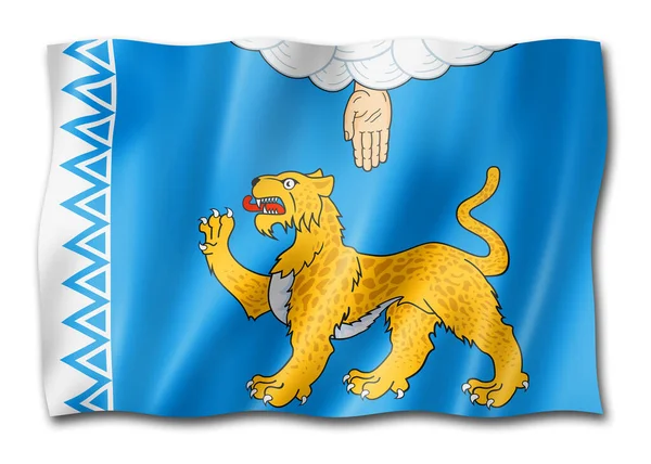 Estado Pskov Oblast Bandeira Rússia Agitando Coleção Banners Ilustração — Fotografia de Stock
