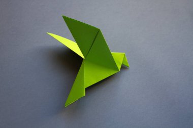 Yeşil kağıt güvercin origamisi boş gri bir arkaplanda izole edildi.